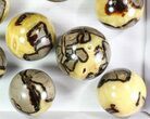 Lot: Septarian Spheres - - Pieces #78048-2